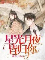 《星光月夜皆归你》小说封面