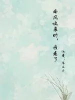 《南风吹来时，我走了》小说封面