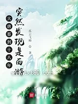 《天子剑法》小说封面