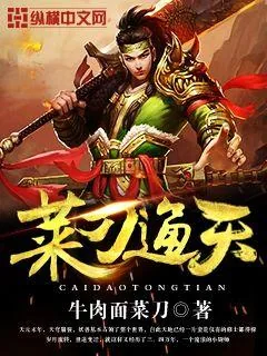 《菜刀通天》小说封面